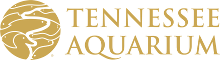 Tennessee Aquarium Tennessee Aquarium logo